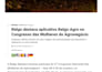 write professional b2b copy and corporate web content